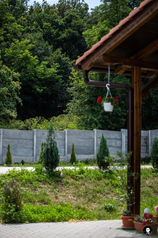 Vilafrancisca10 Alba Iulia Ngoại thất bức ảnh