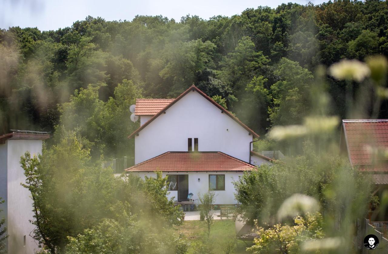 Vilafrancisca10 Alba Iulia Ngoại thất bức ảnh