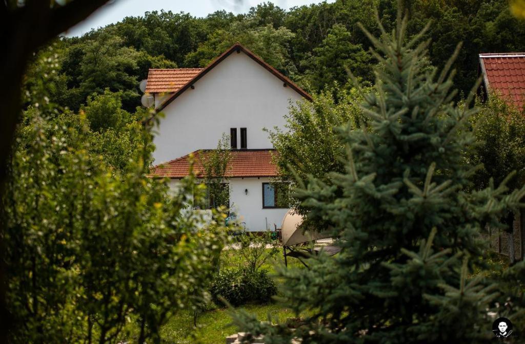 Vilafrancisca10 Alba Iulia Ngoại thất bức ảnh